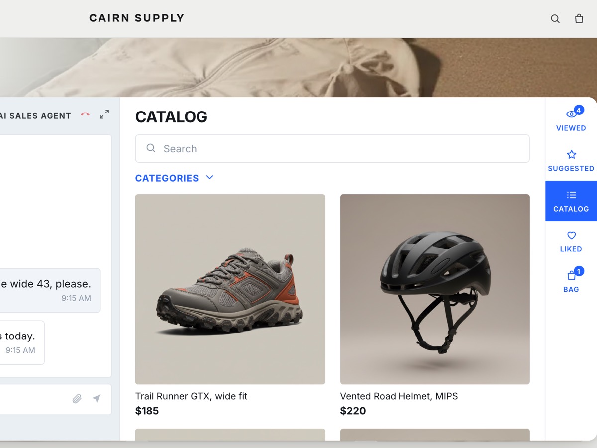 The bag inside the storefront widget with the wide-fit shoe and a helmet, and the total.